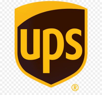 UPS Standart Kargo Servisi
